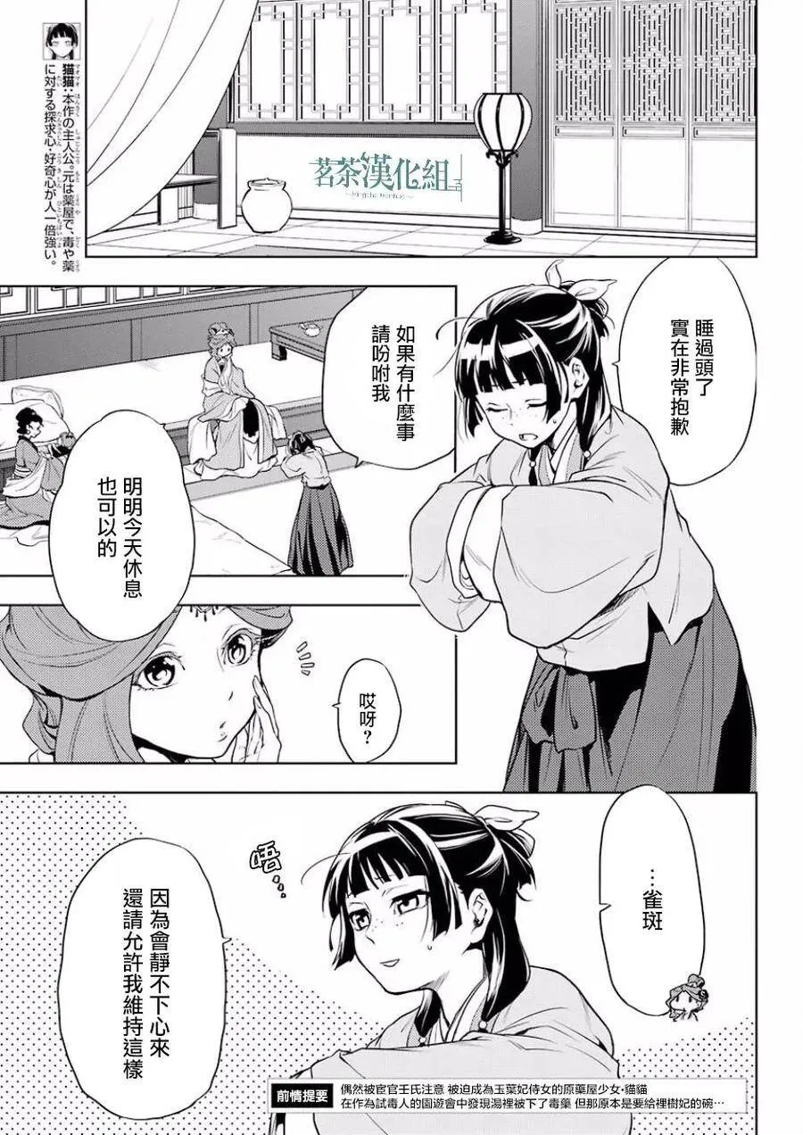 9 猫猫的推理4