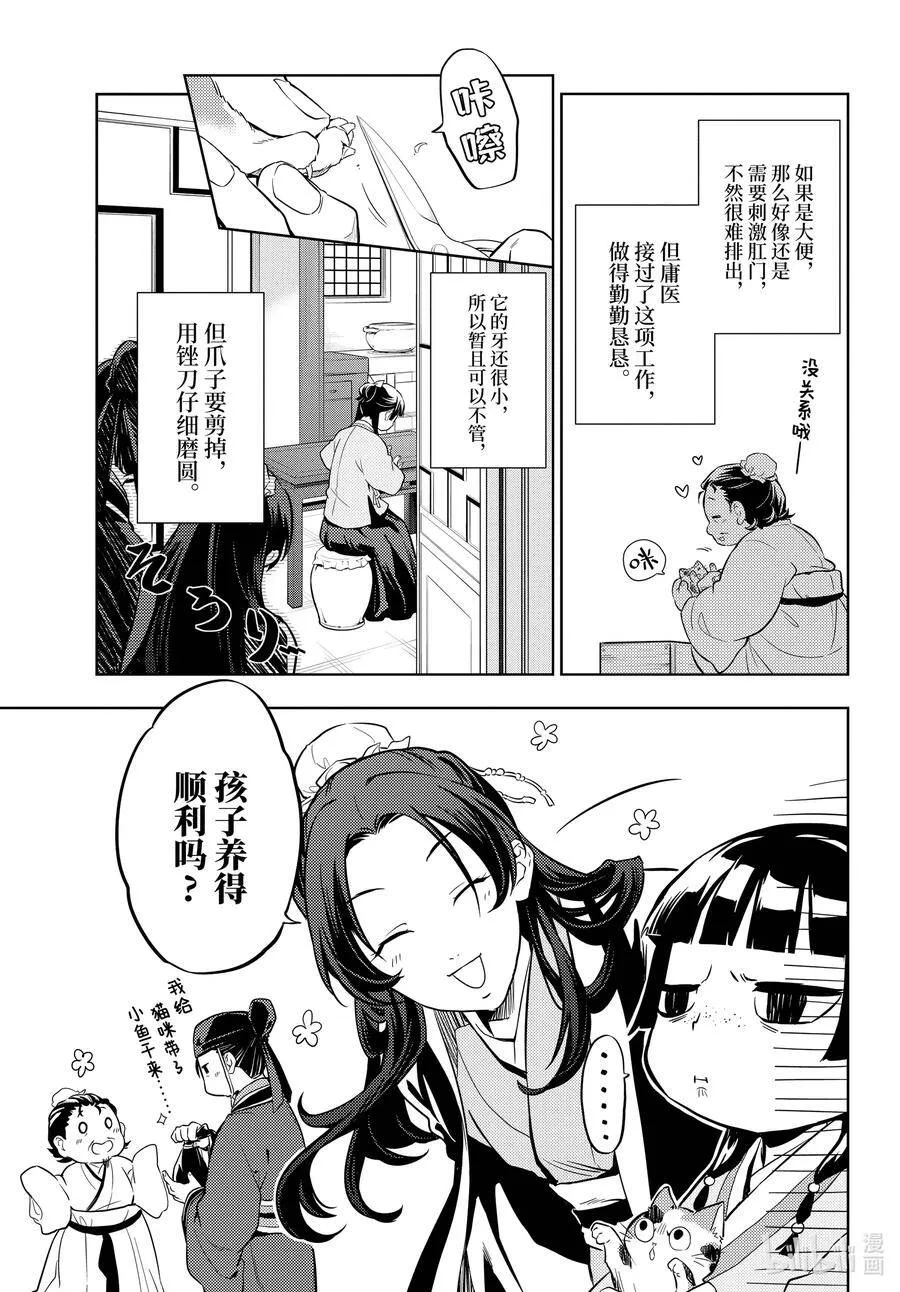 42.5 猫（后篇）5