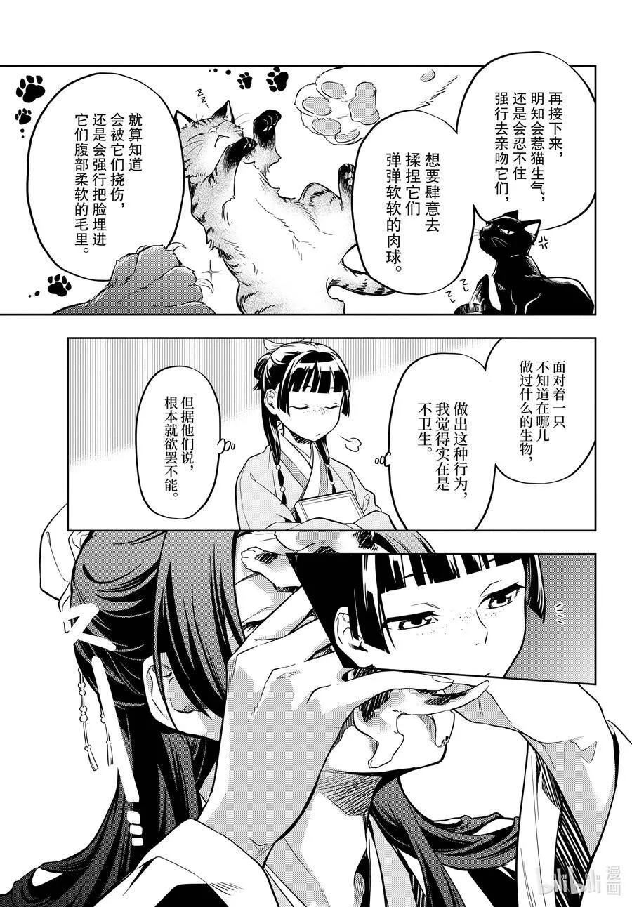 42.5 猫（后篇）11