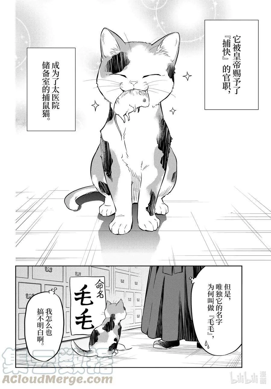 42.5 猫（后篇）14