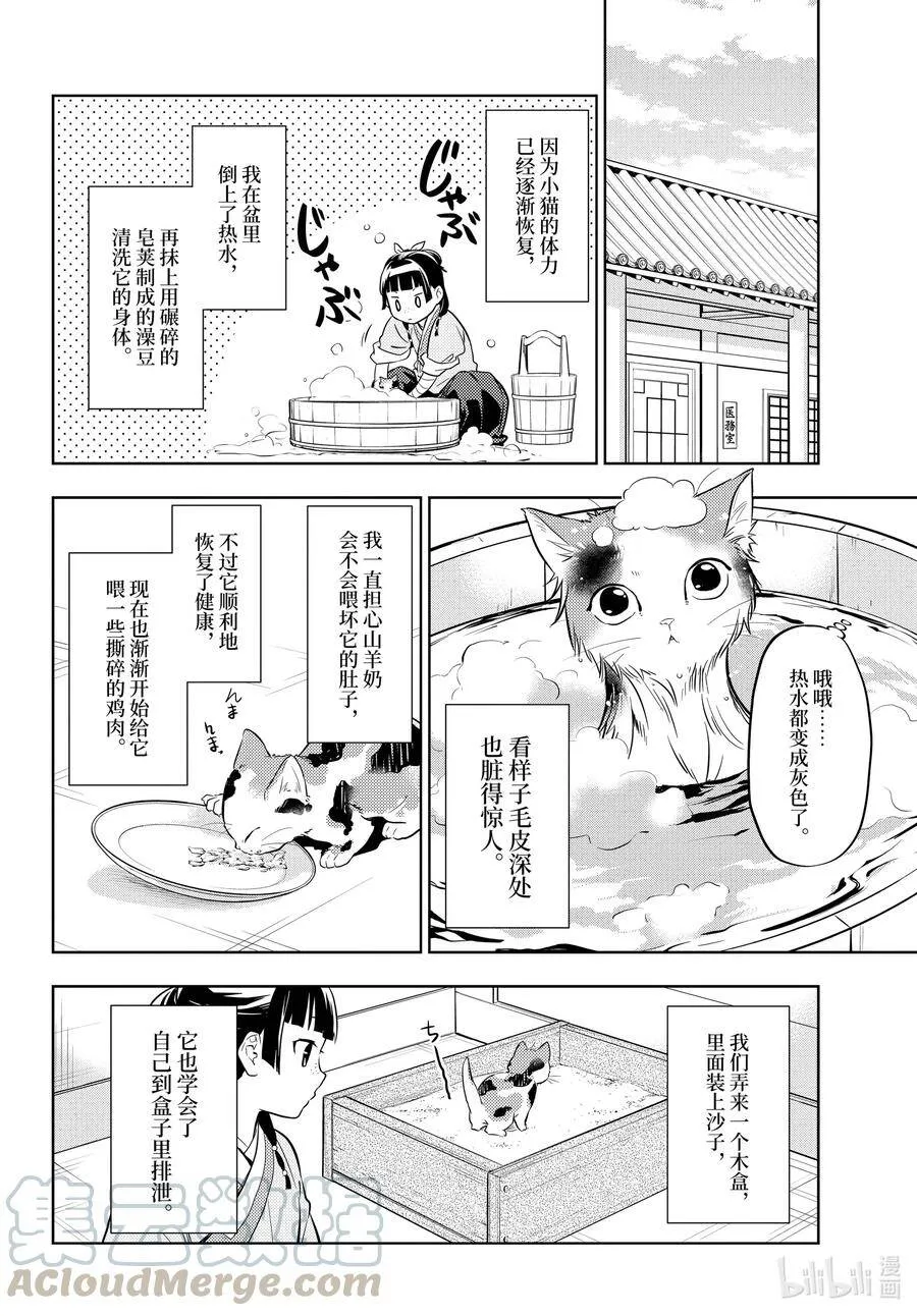 42.5 猫（后篇）4