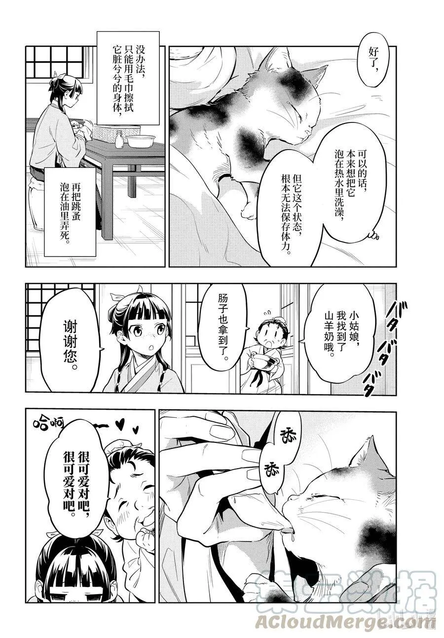 42.5 猫（后篇）2