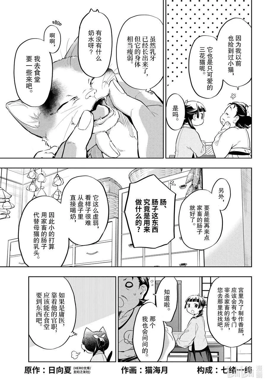 42.5 猫（后篇）1