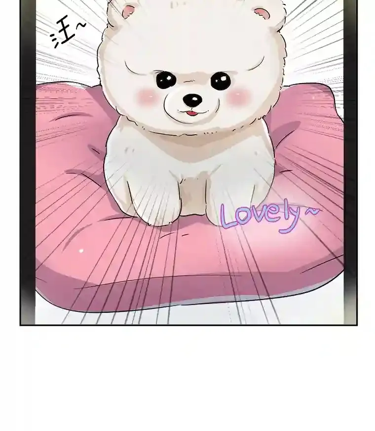43.试映会5