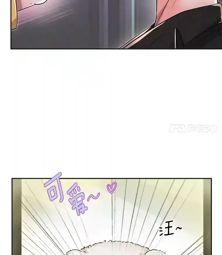 43.试映会4
