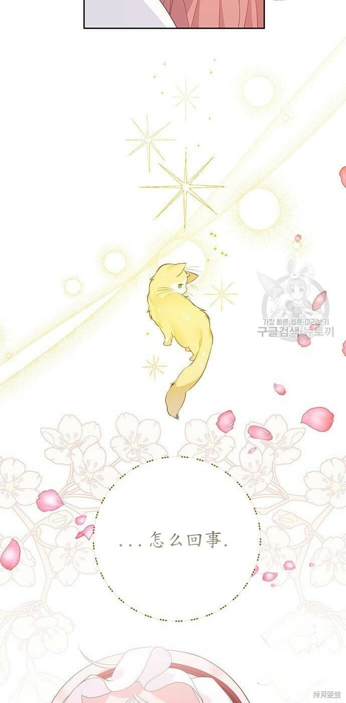[第11话] 这是什么_50