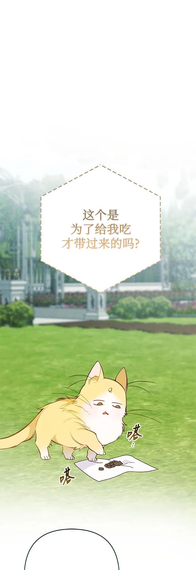 [第22话] 我需要梅贝尔44