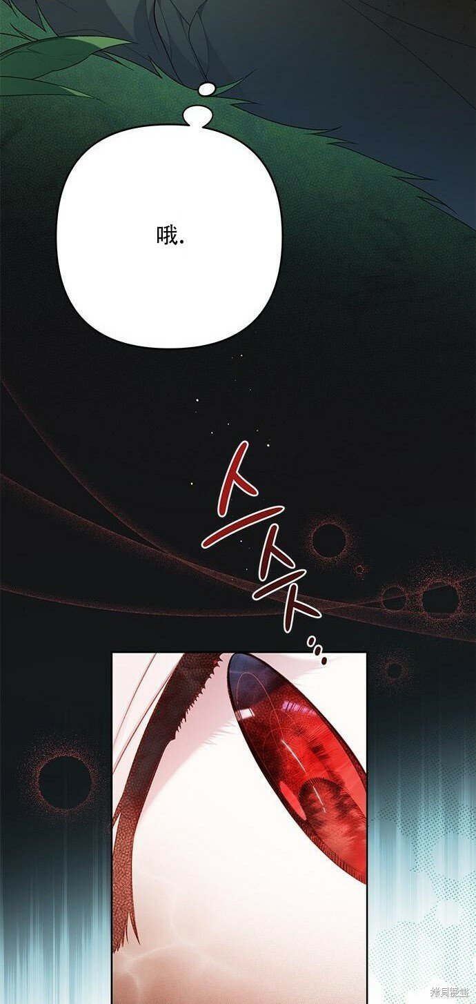 [第12话] 难道是只兔子_57