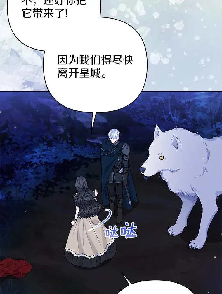 42.逃离舞会114
