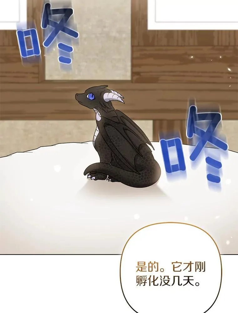 38.天才炼金术士81