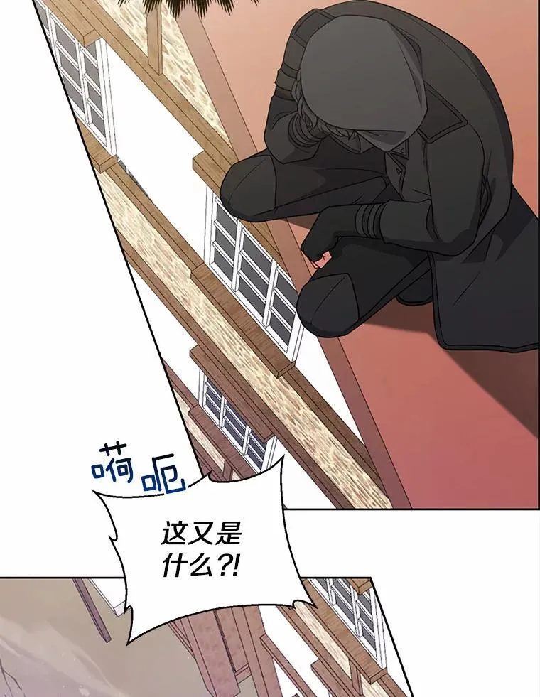 21.追随者87