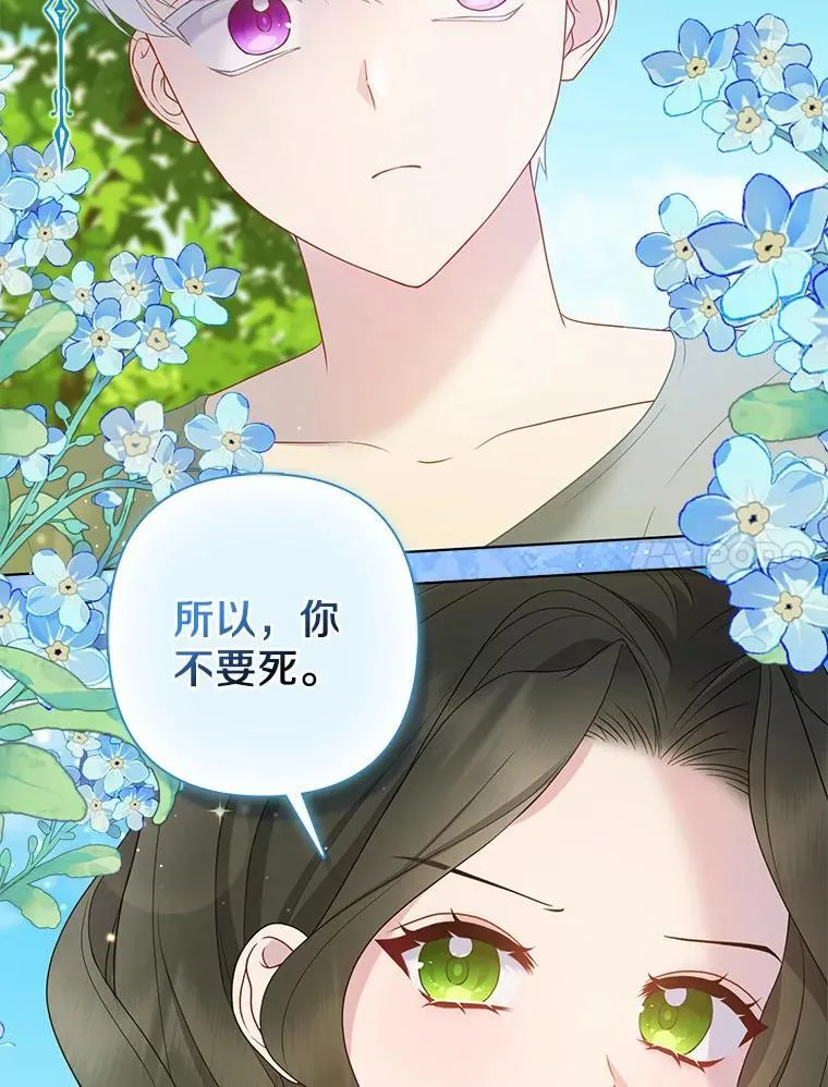 12.陷阱26