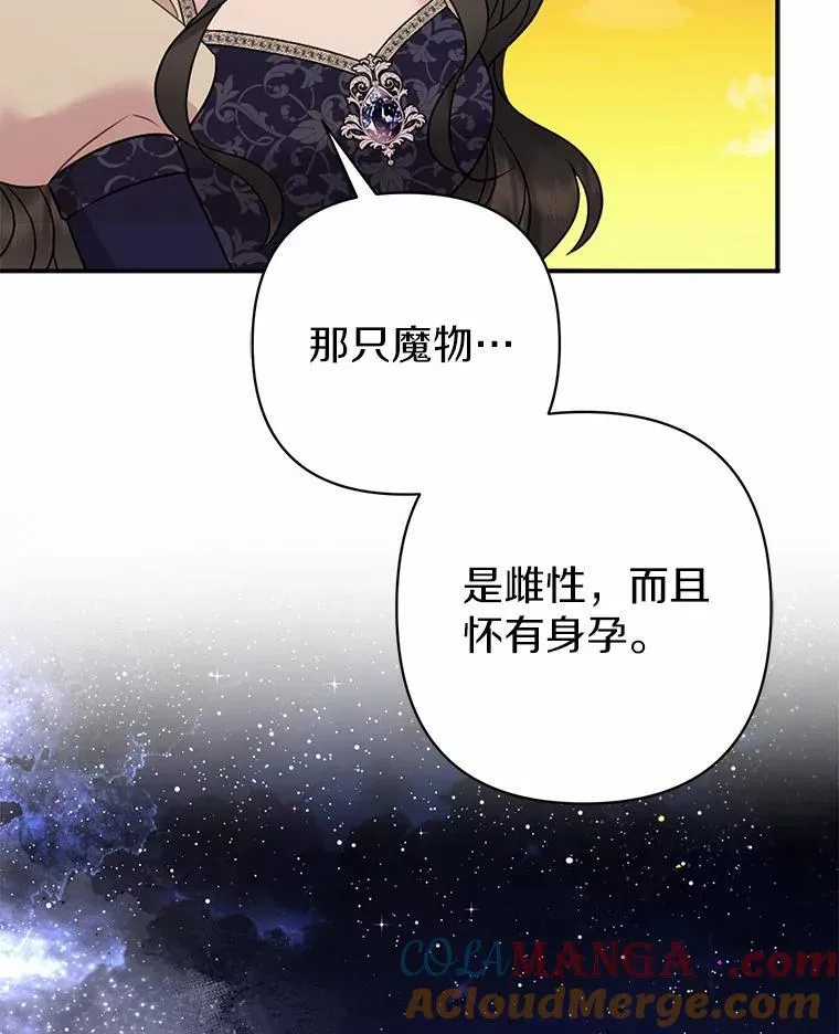 9.灰色平原104