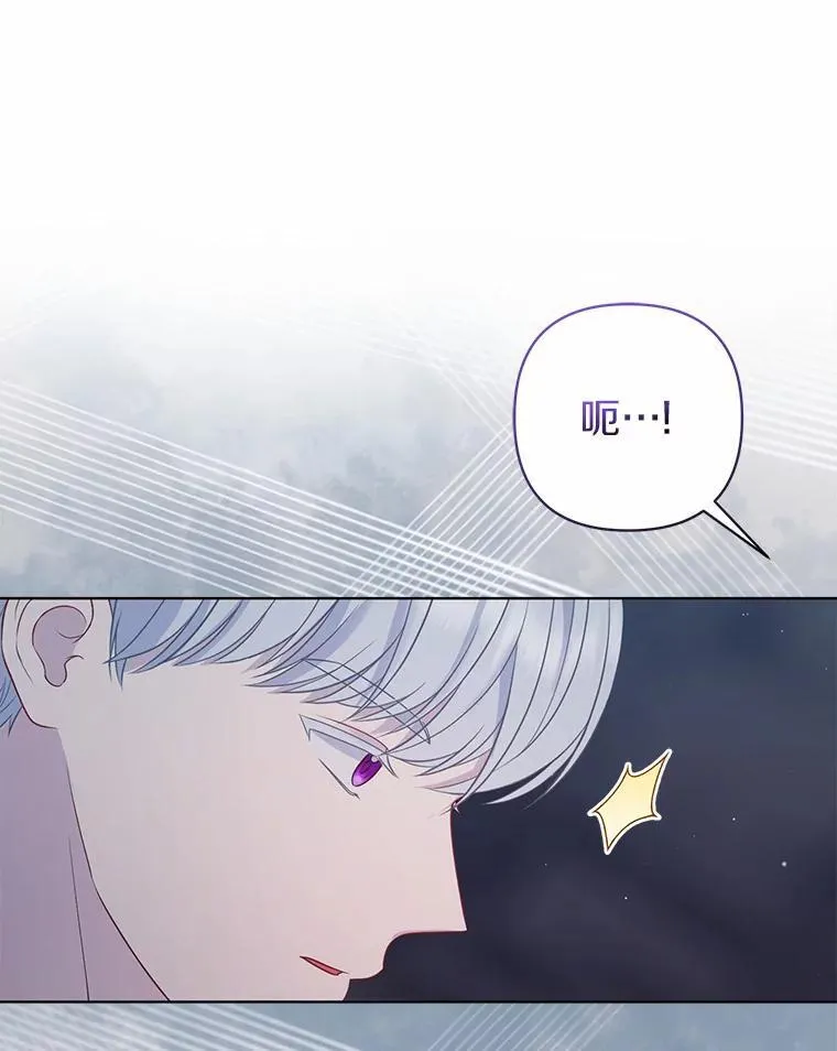 12.陷阱41