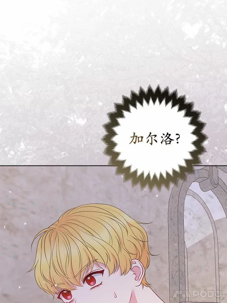 26.重返大海95