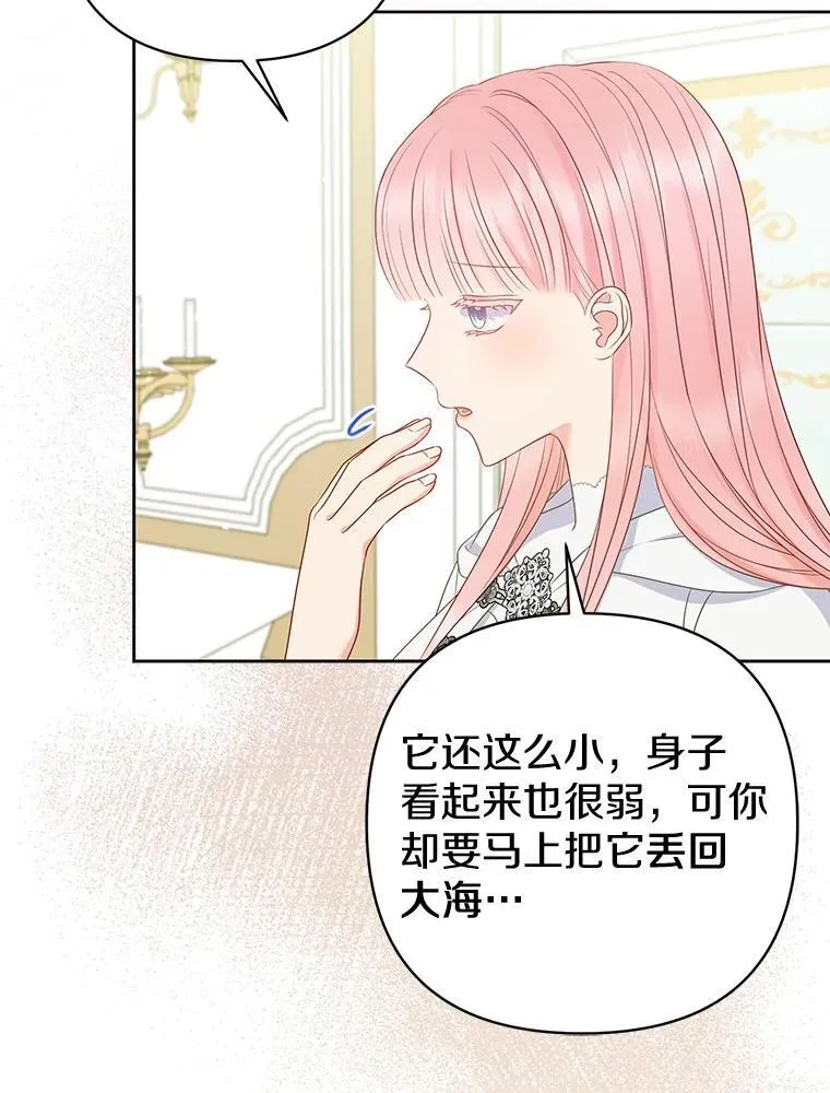 26.重返大海26