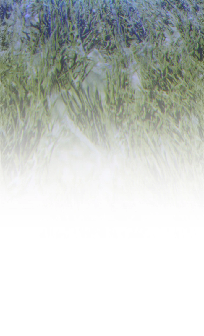 [第11话] 我从穷光蛋变成富豪的故事（1）15