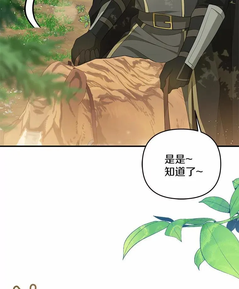 8.前往北部29