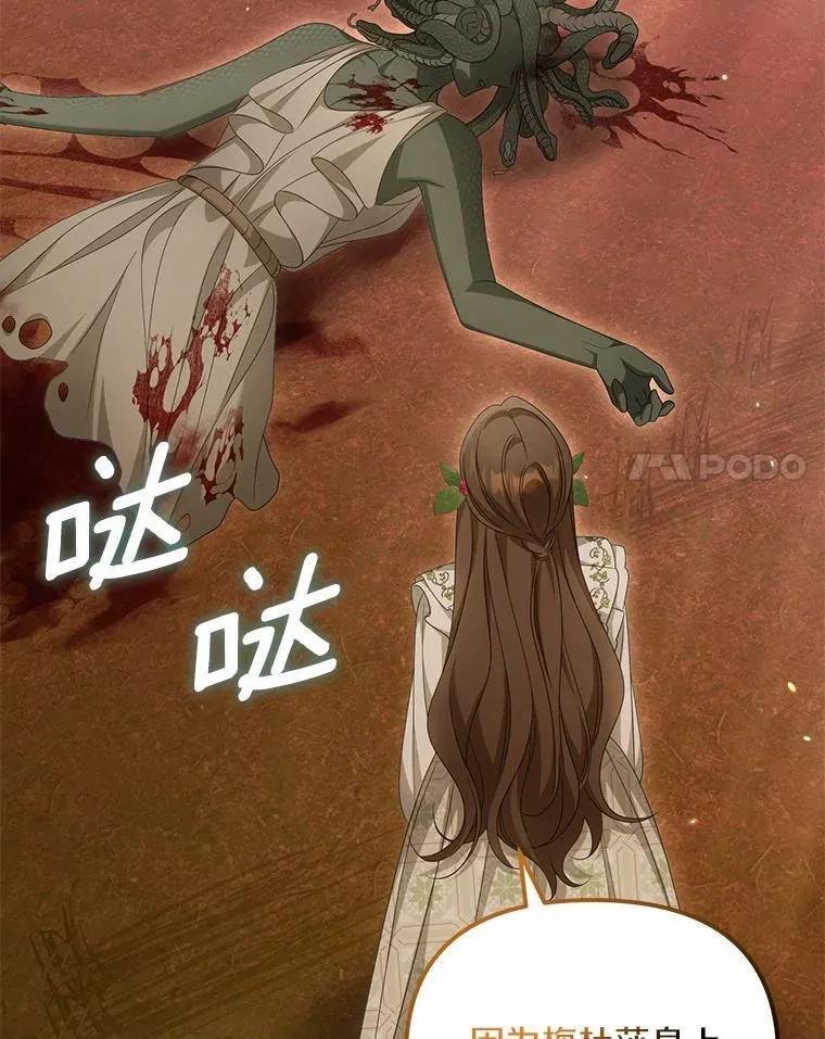38.药材特产29