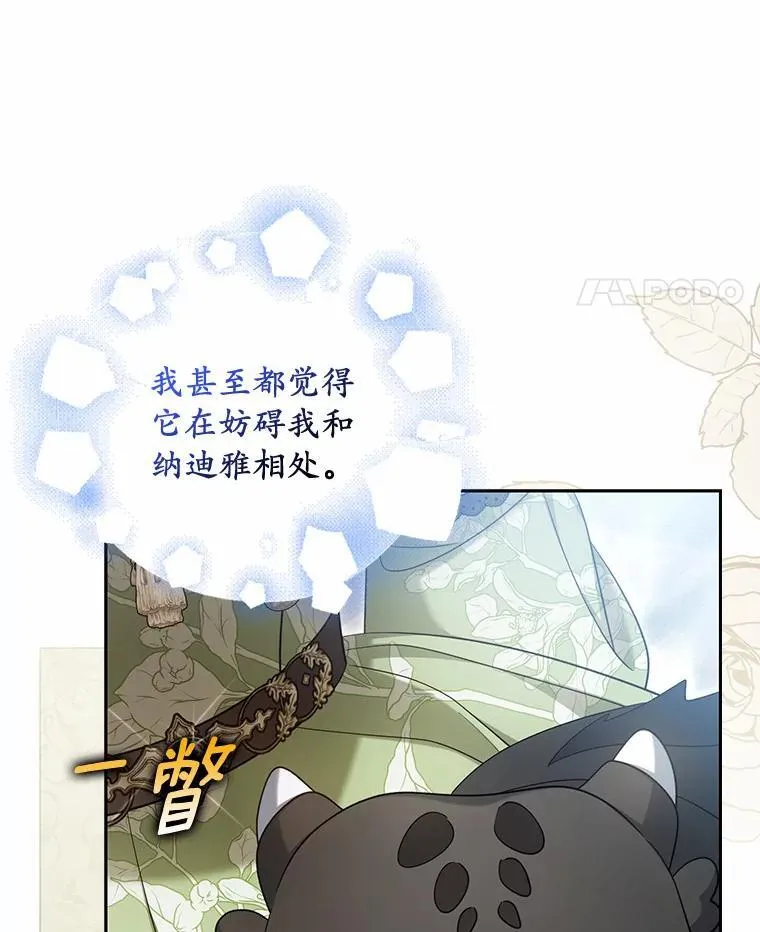 40.孵化（本季完）81