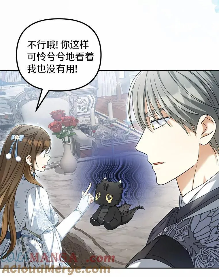 40.孵化24