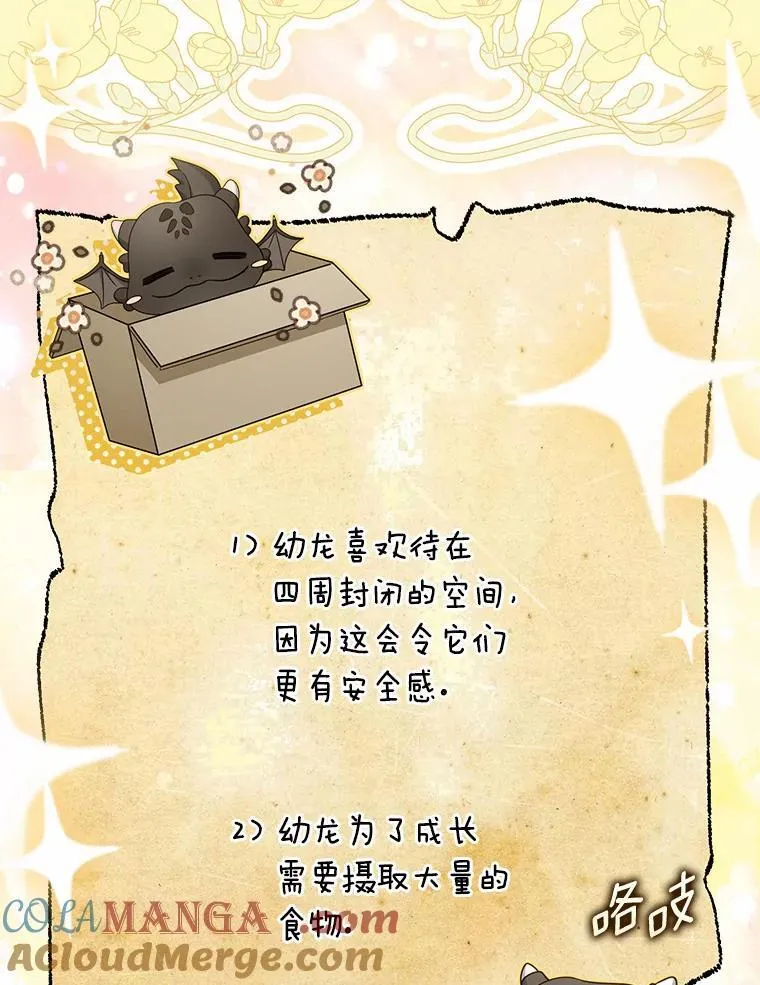 40.孵化48