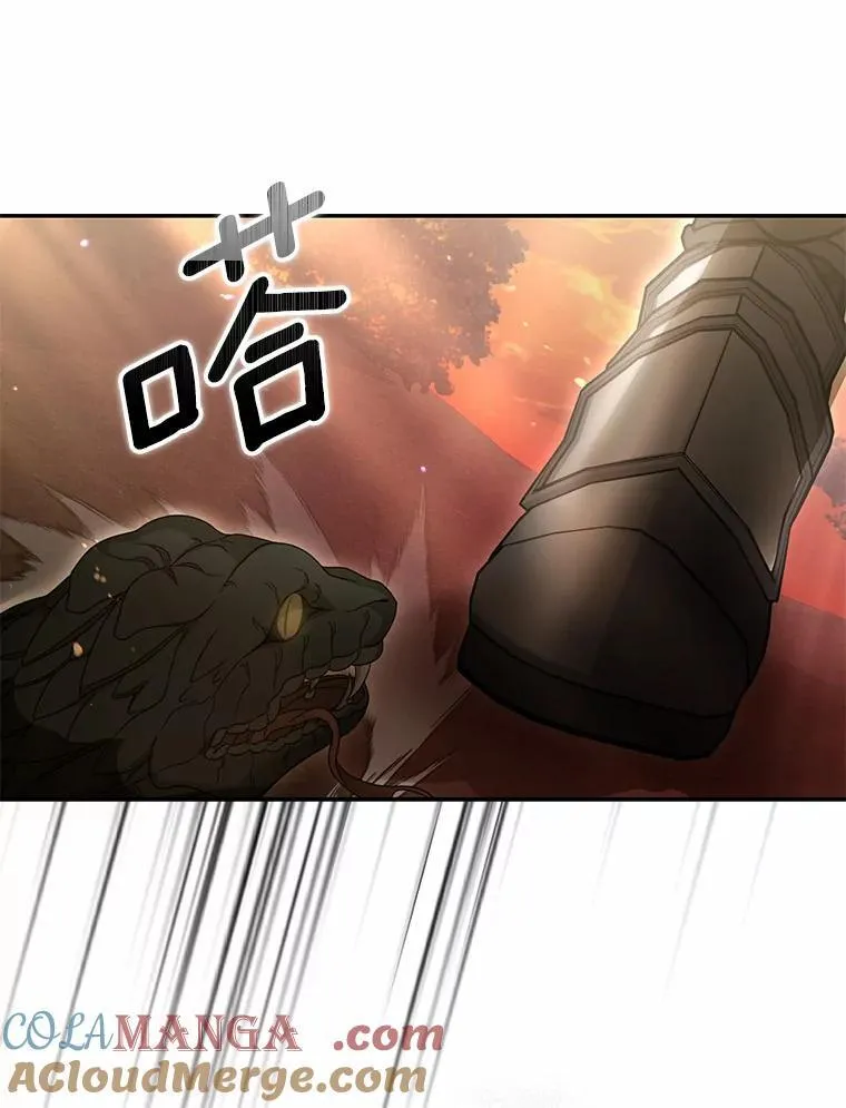 38.药材特产40