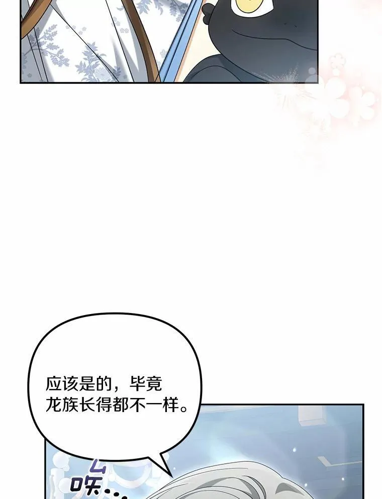 40.孵化5
