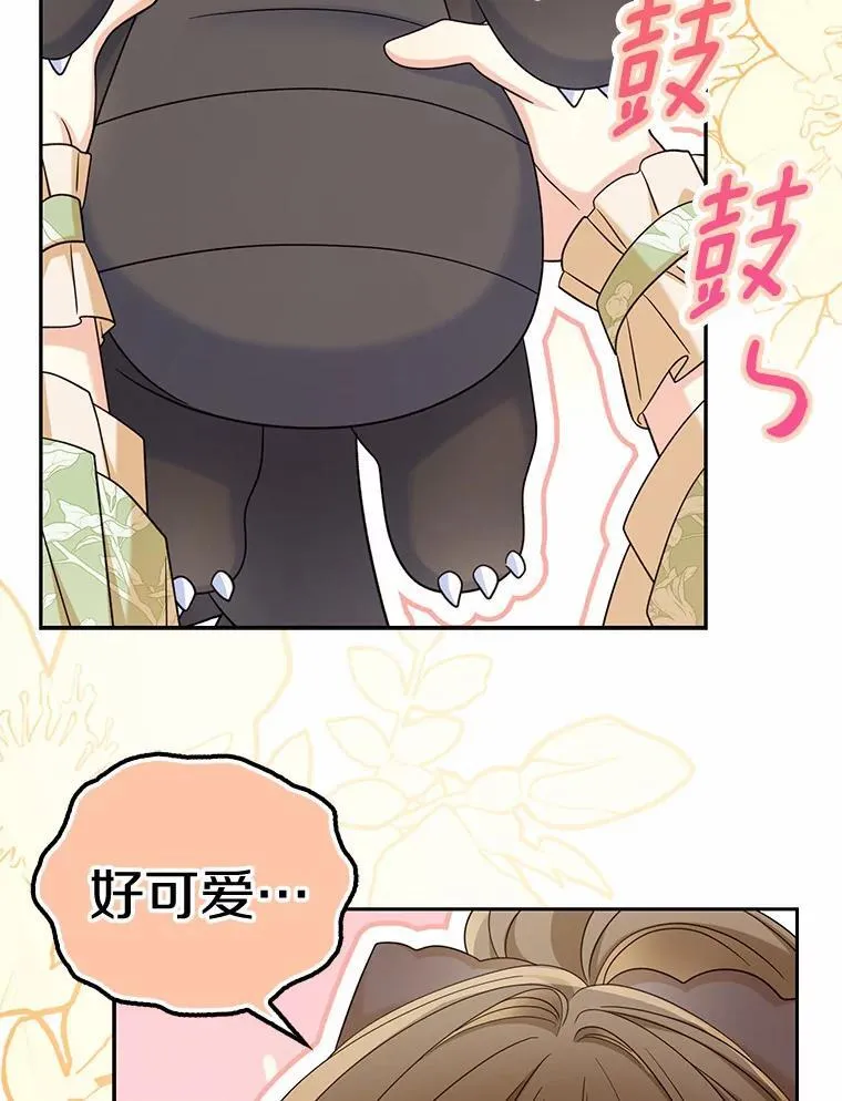 40.孵化58