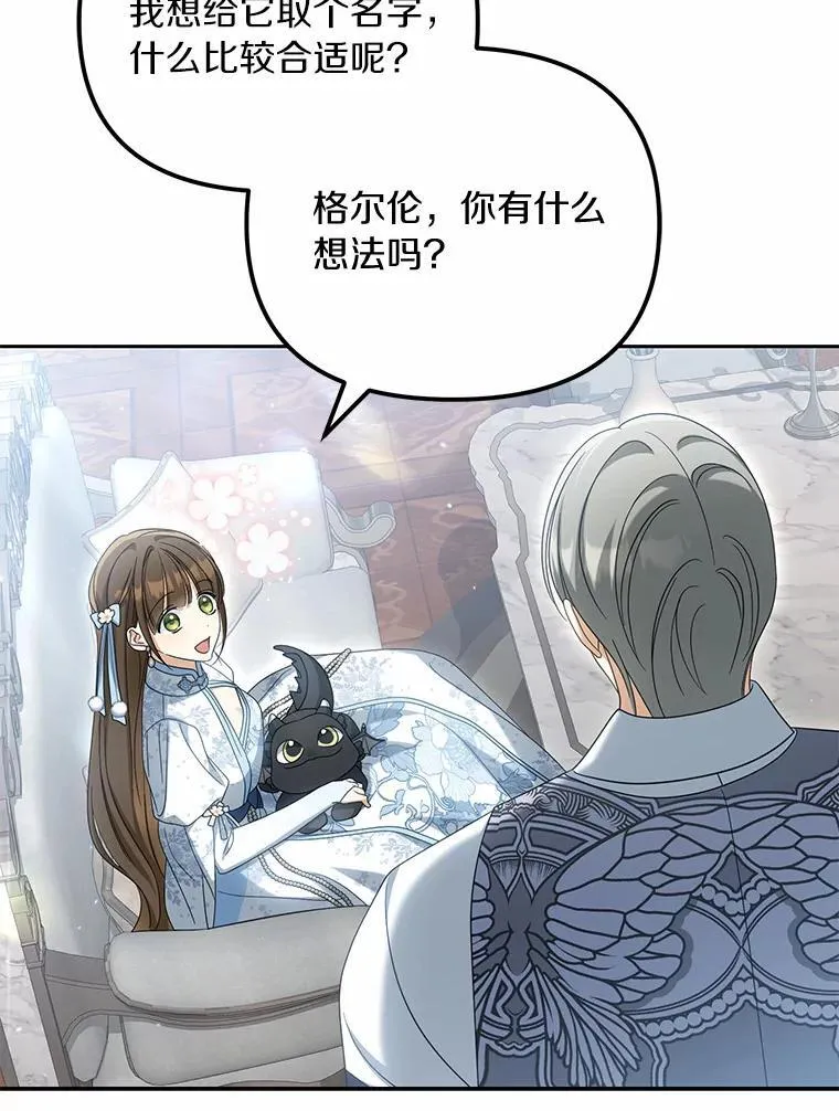 40.孵化11