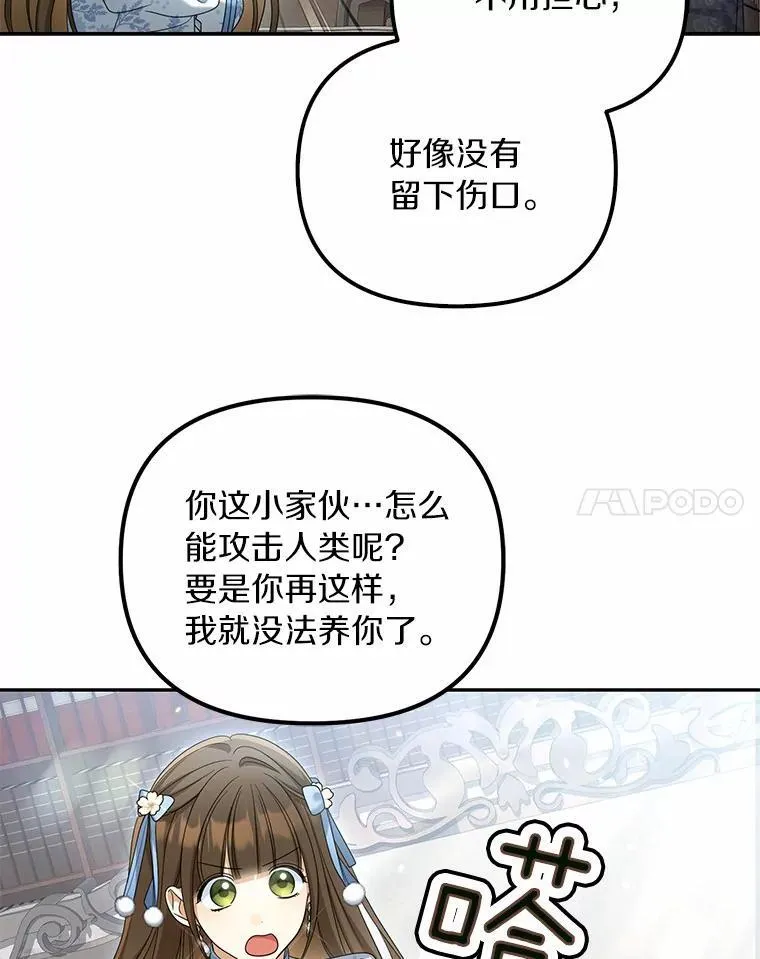 40.孵化19