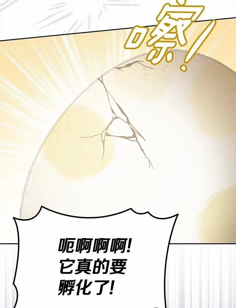 39.礼物93