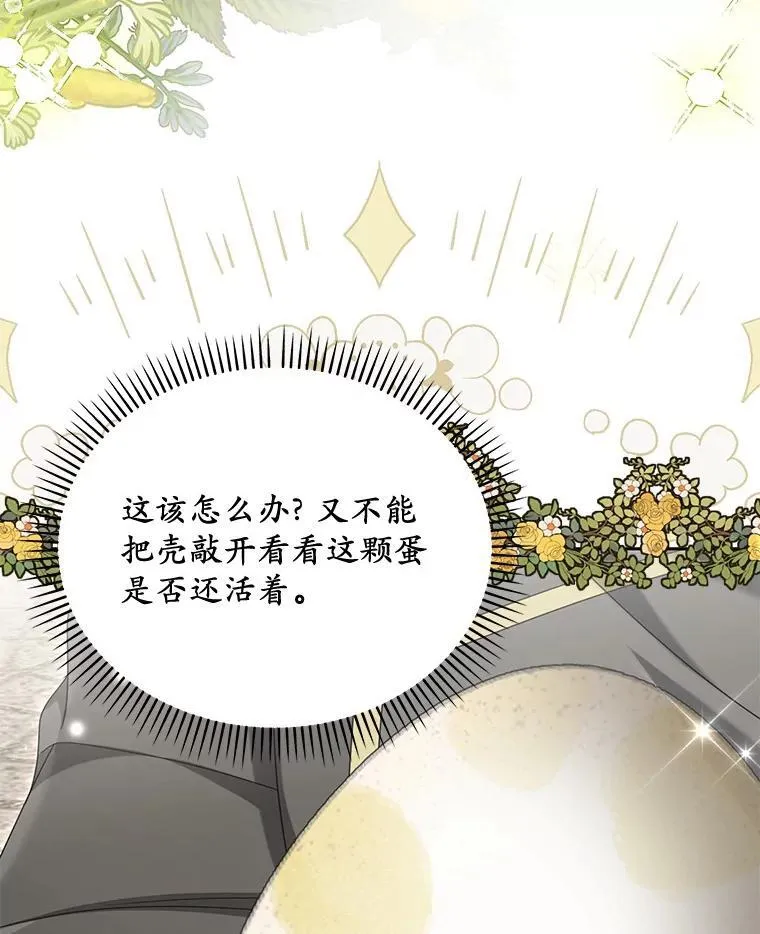 31.屠龙者2