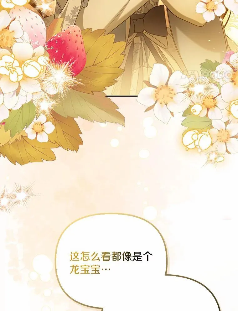 40.孵化3