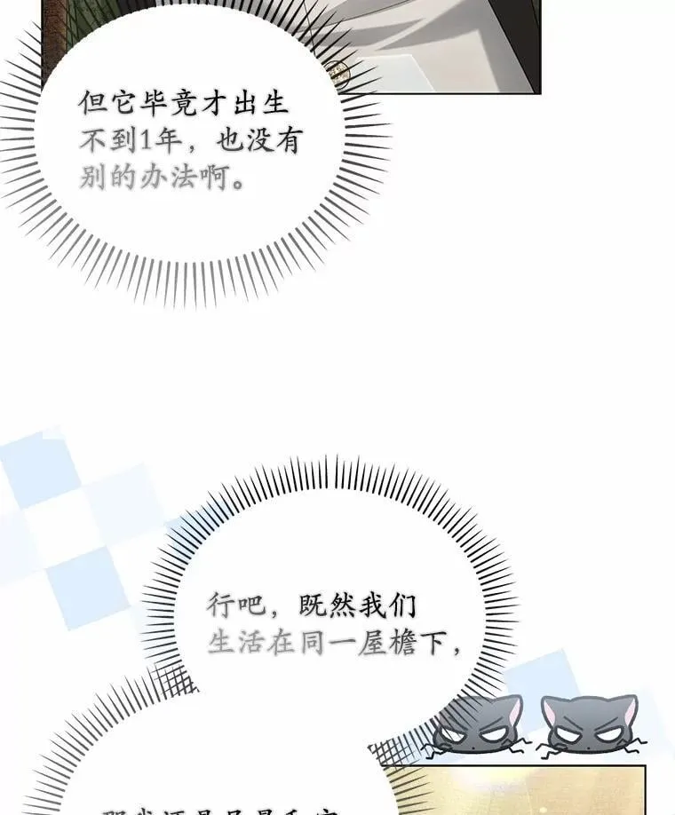 41.试穿98