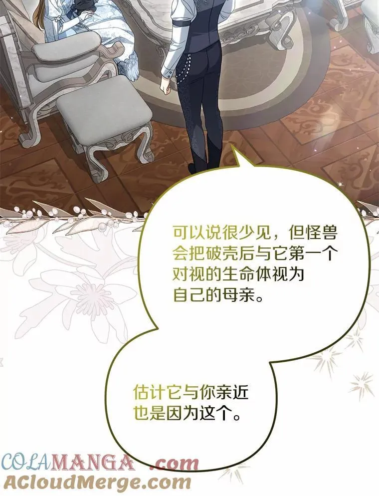 40.孵化（本季完）8