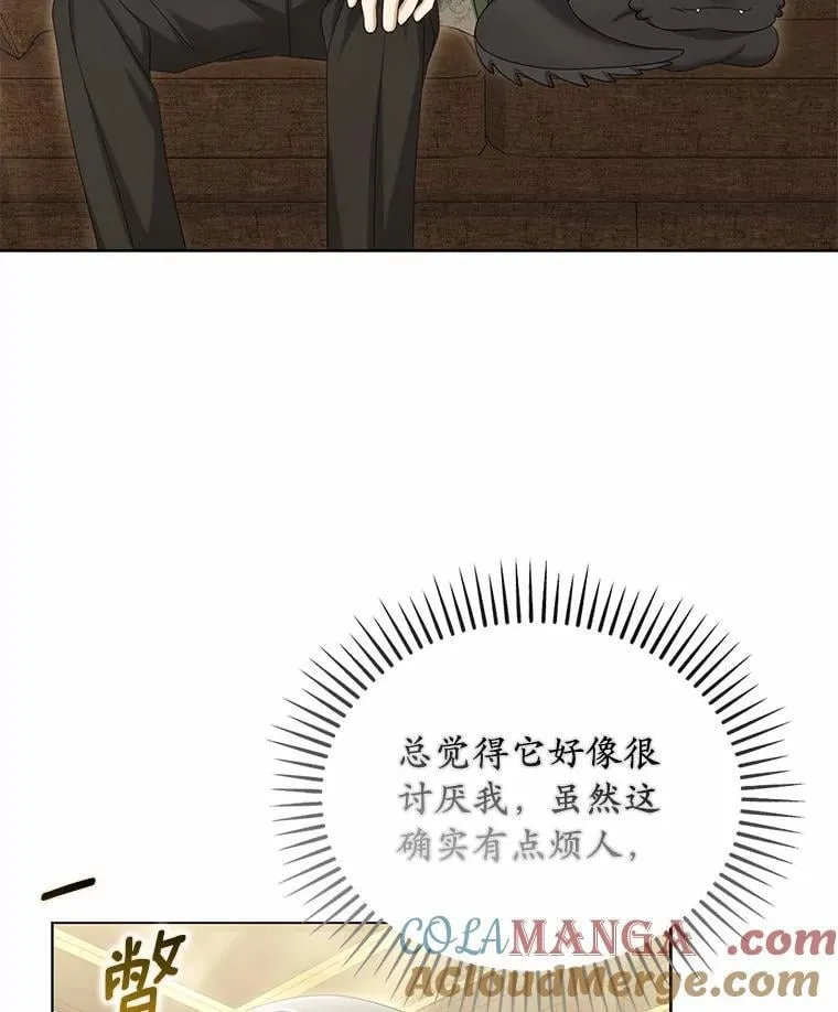 41.试穿96