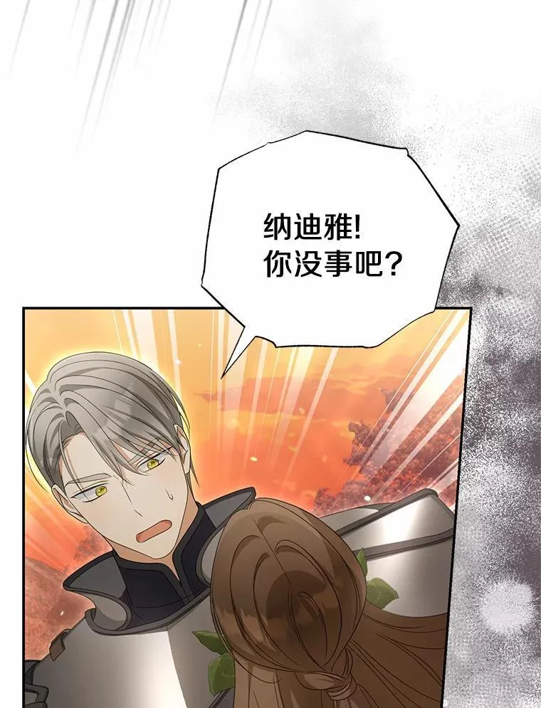 38.药材特产41