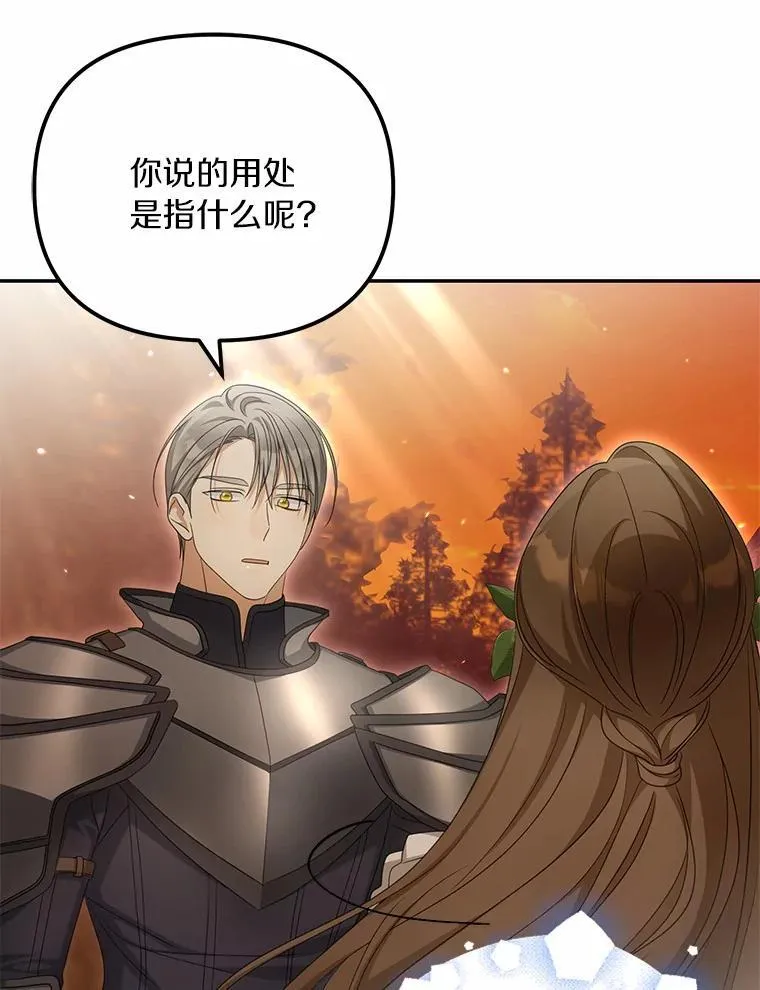 38.药材特产11