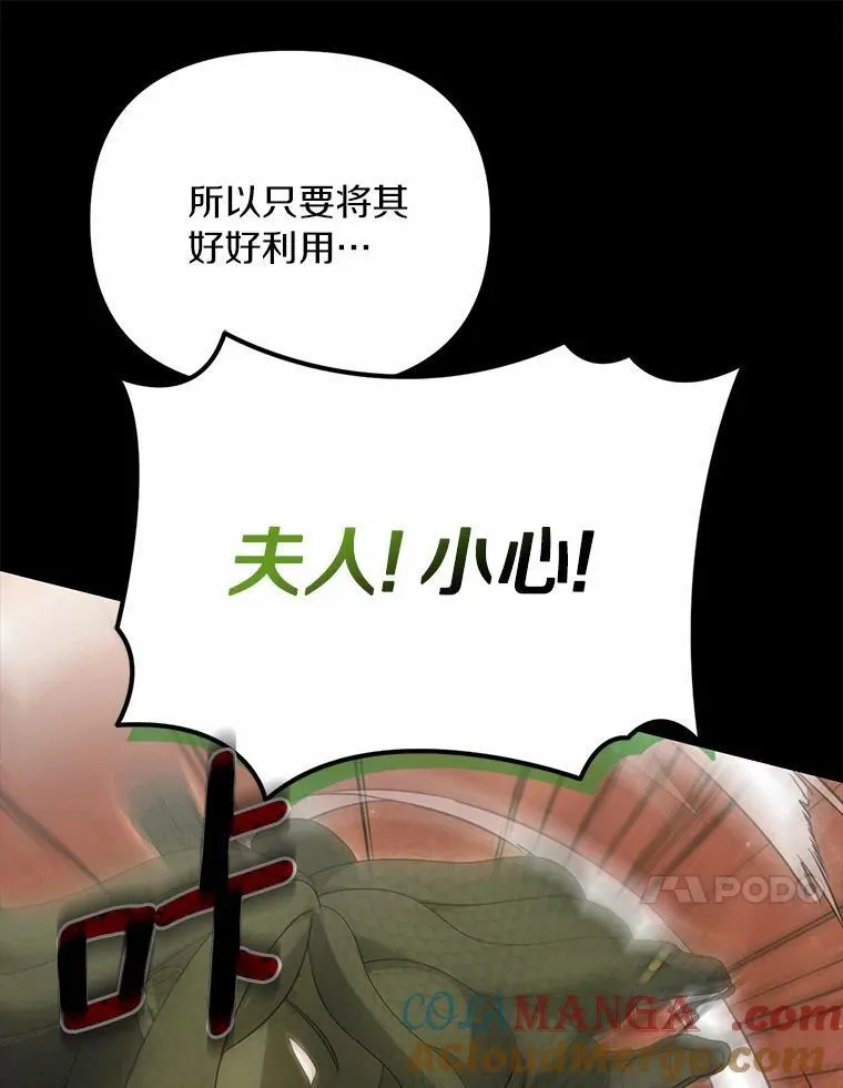 38.药材特产32
