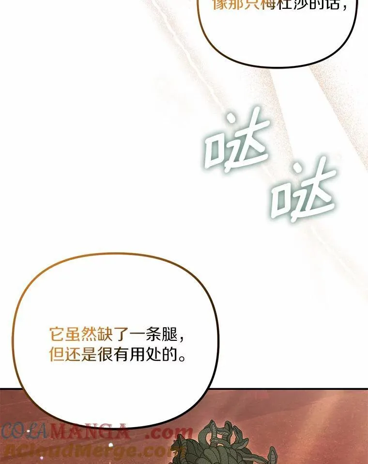 38.药材特产28