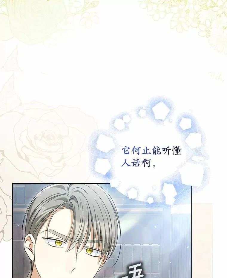 40.孵化（本季完）79
