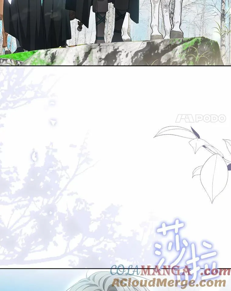 17.我没有那么弱40
