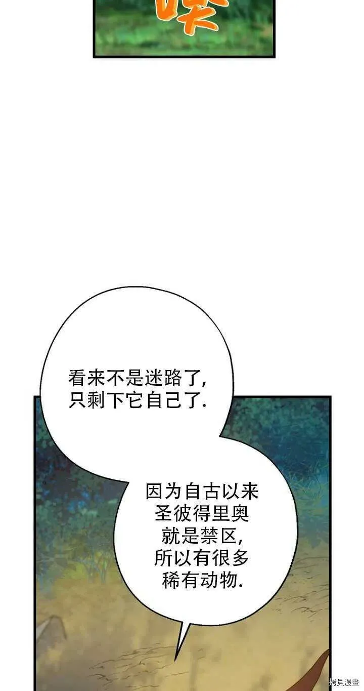 第33话19