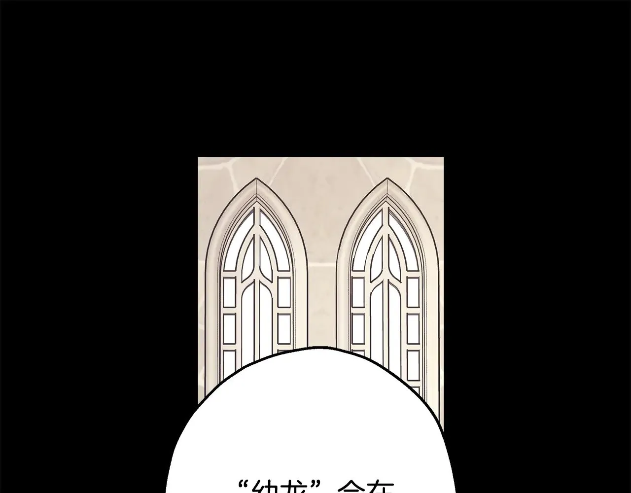 第92话 幼龙讨伐作战0
