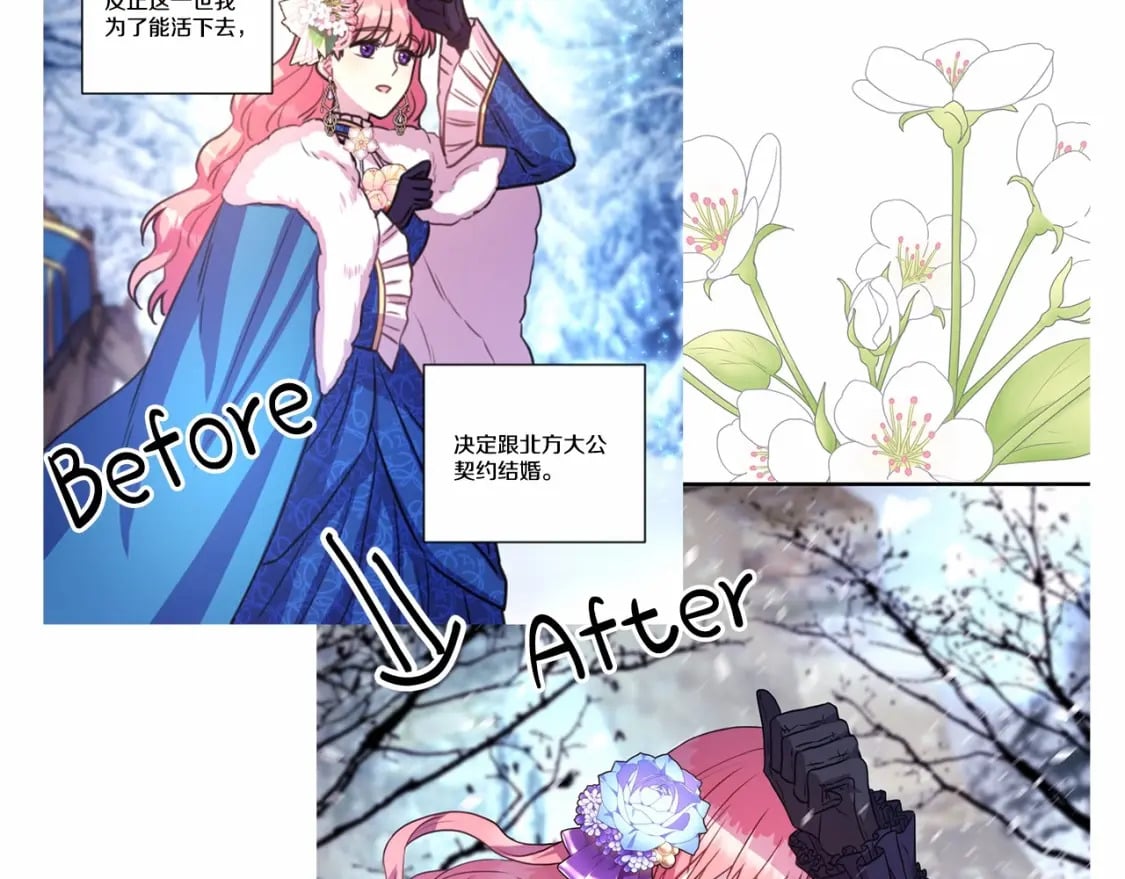 迟来的后记：作者创作心路历程揭秘！246