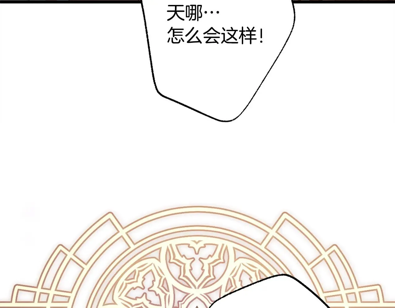 第101话 神官的祝福223