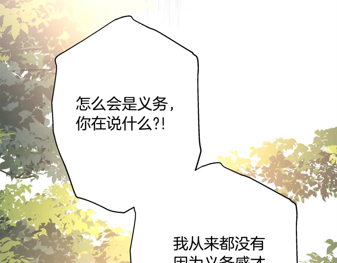 番外二 希维亚与卡利普斯（佩鲁斯父母）下26