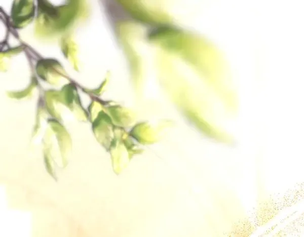 第108话 不怀好意的邀请14