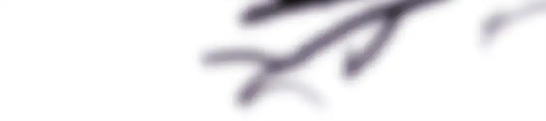 第83话 奇迹的力量167